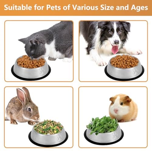 Stainless Steel Cat Bowls, 4 Pack Metal Dog Bowls for Food and Water, Non-Slip Pet Feeding Dish Bowl With Rubber Base for indoor Cats Small Dogs — view 6