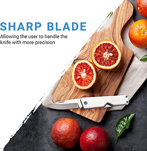 WHITBY Pocket Knife, 2.5" Mint Stainless Steel Folding Knives Titanium Grey — view 3