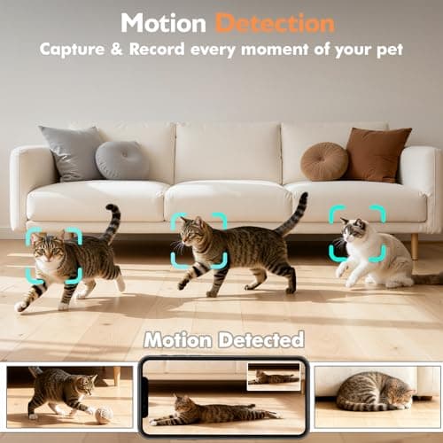 PETLIV Automatic Cat Feeder with 2K HD Night Vision Camera — view 5