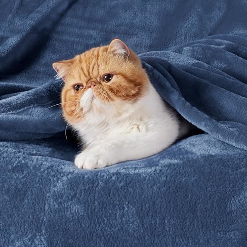 Bedsure Fleece Throw Blanket for Sofa - Flannel Fleece, Blue, 130x150 cm — view 2