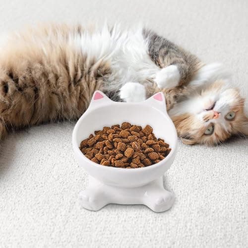 Quorvex Elevated Cat Bowl | Raised Cat Bowls,Tall Ceramic Tilted Dish, Spill Proof For Pet Kitten Puppy Drinking Feeding Apartment City Living Travel — view 3
