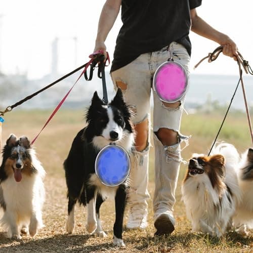 2 Pack Large Collapsible Dog Bowl, 1000ml/35oz Foldable Dog Travel Bowls, Portable Dogs Water Food Bowl with Carabiner, Pet Cat Feeding Cup Dish for Traveling, Walking (Blue + Purple) — view 5
