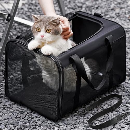 Conlun Cat Carrier Bag,Soft-Sided Pet Carriers for Dogs with 4-Sided Mesh,Airline Approved Cat Transport Carrier for Small&Medium Cats Kitten Puppy Up to 6Kg,Collapsible Cat Travel Carrier-M,Black — view 2