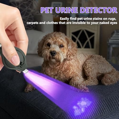 Modurio Mini Keychain Flashlight, Note Checker UV Light for Bank Notes, Small Keyring Torch for Emergency Lighting – Money Checker Pen for Cashiers, Retail, Travel — view 5