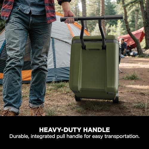 Ninja FrostVault Insulated Cool Box & Bottle Set, Olive FB245AMZEUUKGN — view 6