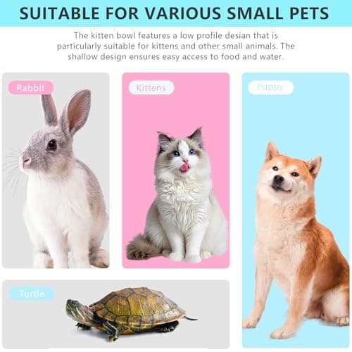 10pcs Cat Bowls, Whisker Fatigue Cat Bowls with a Storage Box Shallow Wet Food Flat Dish Plate Tray for Food and Water Pet Feeding Bowl for Kittens and Short Legged Cats — view 6