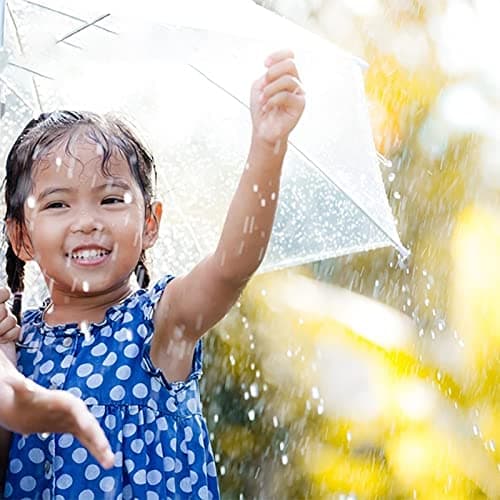 HAOHIZE Clear Dome Umbrella, Travel Folding Portable Fashionable Transparent Automatic Three-Fold Rain Umbrella for Outdoor Backpack — view 4