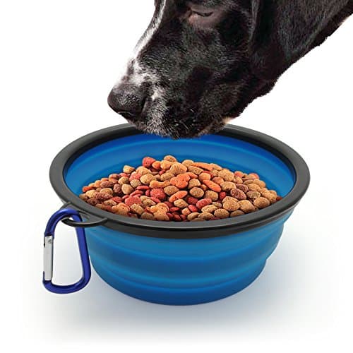 iGadgitz Home Large Foldable Travel Silicone Dog Bowl Food Water Feeding Portable Dish for Pet (Blue) — view 3
