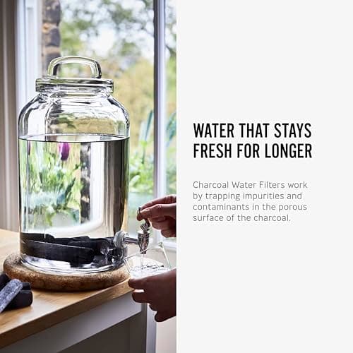 BLACK+BLUM | Charcoal Water Filter Sticks | Traditional Japanese Charcoal Water Filter System, Hydration + Carbon Filter for Water Bottles + Water Dispensers | 4 Pieces, Last 6 Months Each, Wood Black — view 6