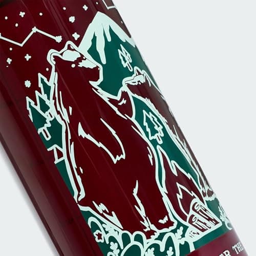 adidas Unisex Terrex Water Bottle 1000Ml Shirt, Maroon/Maroon, One Size — view 2