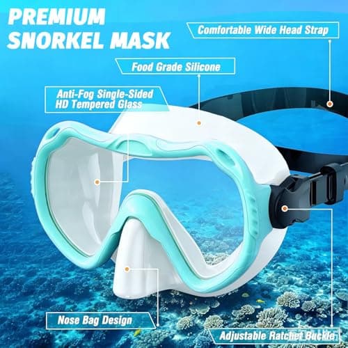 Snorkel Set Adults, Scuba Snorkelling Package with Anti-Fog,180° View Snorkelling Goggle,Dry Snorkel Mask for Adult Swimming Diving (Green) — view 2