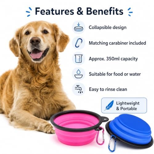 Collapsible Pet Feeding Bowl Portable Silicone Space Save Travel Dog Cat Bowl with Carabiner Carry Hook Two Size Avaliable Small 350ml (12fl oz) / Large 1000ml (34fl oz) (Orange, Small (350ml)) — view 5