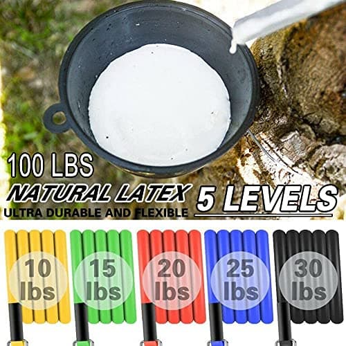 DSL Resistance Bands Set, 14 Piece Home Gym Kit Up to 100lbs — view 3