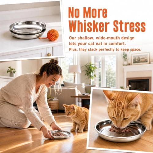 6 Pcs Stainless Steel Cat Bowls,16cm Whisker Fatigue Relief Shallow Cat Food Bowl and Water Bowl, Metal Dishes for Kitten, Puppy, Small Dog, Rabbit, Hamster, Guinea Pig, Stackable Pet Feeding Set — view 4