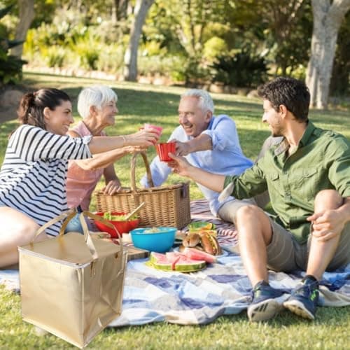 Amosfun Portable Cooler Bag Non-Woven Cooler Pouch Golden Non-Woven Waterproof Insulated Cake Bag for Snacks and Cake — view 6