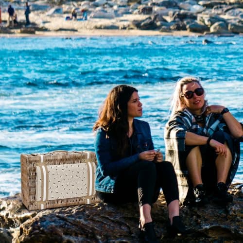 VIREO GARDEN Picnic Basket for 4 Person with Large Insulated Cooler Bag — view 6
