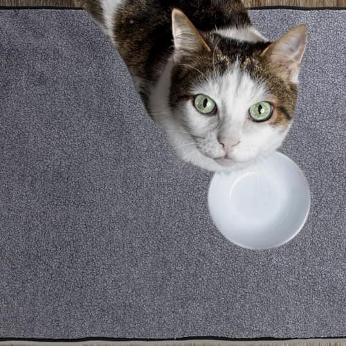 Toddmomy Foldable Blanket for Pets Travel Dog Bed Halloween Season Black — view 5