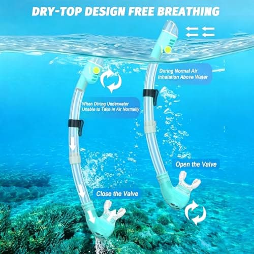 Snorkel Set Adults, Scuba Snorkelling Package with Anti-Fog,180° View Snorkelling Goggle,Dry Snorkel Mask for Adult Swimming Diving (Green) — view 3
