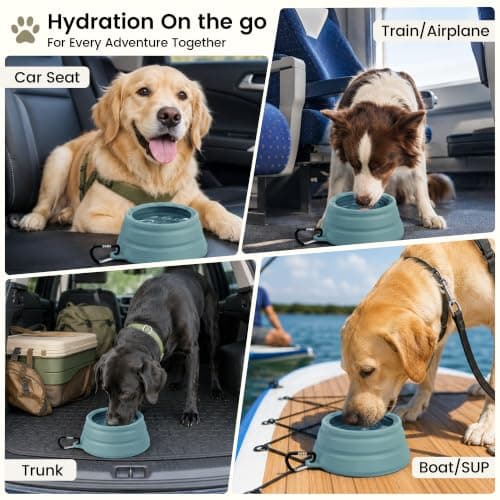 OHMO Non Spill Collapsible Dog Bowl, 700 ml, Light Blue — view 3