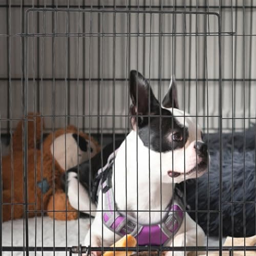 Cat Cage Enclosure Door Removable Wire Panel for Home Travel — view 6