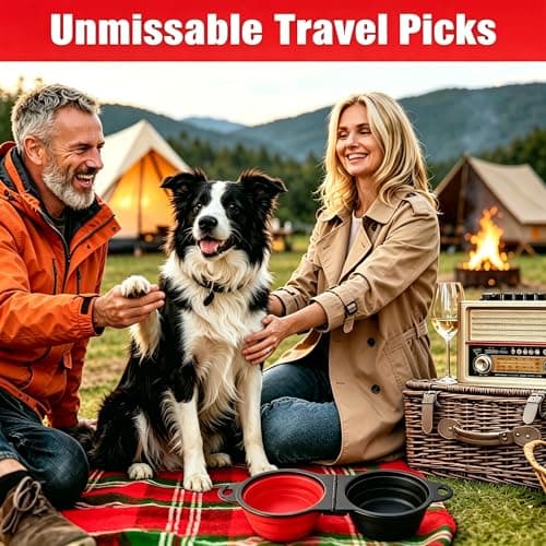 Anti-Tipping Connected Dual Foldable Pet Bowls, 350ml each for small dogs & cats, reinforced rim, collapsible portable food & water feeder, great for walking, hiking, outdoor activities (Black & Red) — view 6
