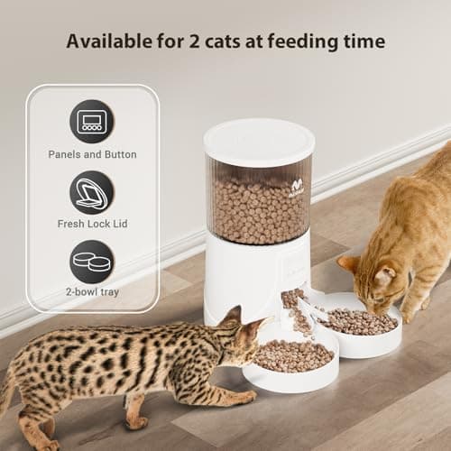 IMIPAW Automatic Cat Feeder: 2 Bowls, App Control, 5G WIFI Auto Pet Feeders — view 4