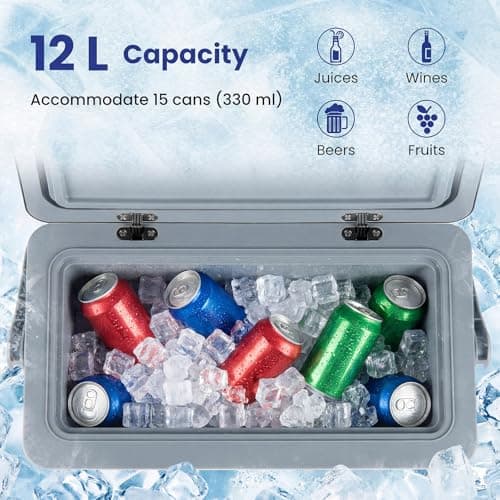 COSTWAY 12L/16L/21L/41L Insulated Cool Box (Dark Gray, 48 x 29 x 31 cm) — view 2