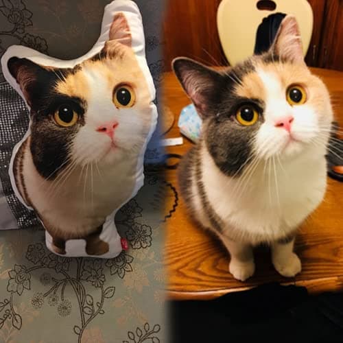 Eletizy Custom Pet Shaped Pillows, Personalized Funny Pillow with Pet/Picture/People, Double Side 3D Printing Photo, for Birthday, Thanksgiving, Christmas, Valentine's Day, Halloween 10inch — view 5