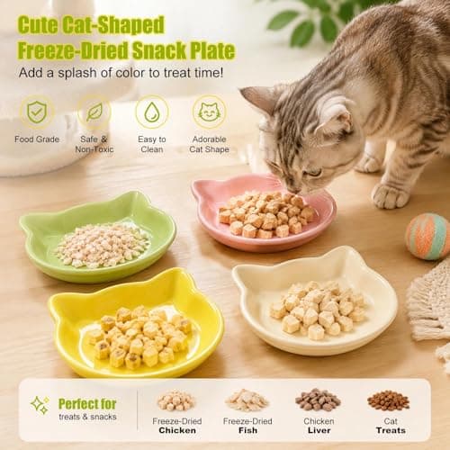 4-Pack Cat Bowls Set, Shallow Kitten Bowls, Low-Edge Wide Anti-Spill Whisker-Friendly Non-Slip Plastic Feeding Dishes for Indoor Cats — view 4
