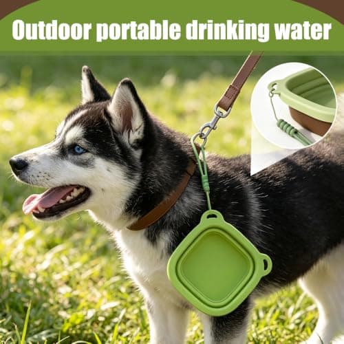 Foldable Dog Bowl, Detachable 2-in-1 Silicone Pet Water Food Dish — view 2
