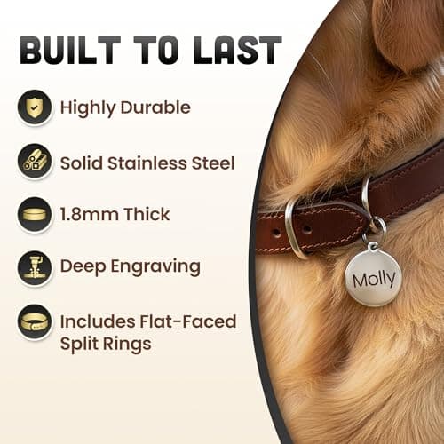 Personalised Laser Engraved Stainless Steel Dog and Cat ID Tags, Available in 5 Colours and 2 Sizes (Rose Gold, Small (25mm)) — view 3