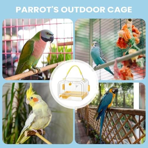 Small Bird Carrier Clear Parakeet Carrying Cage — view 4