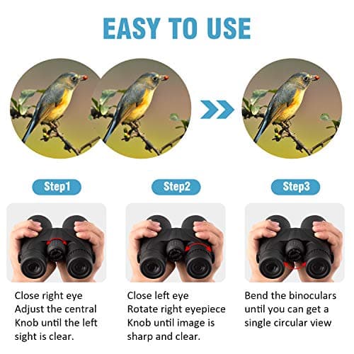Binoteck 10x42 Binoculars for Adults - Professional HD Roof BAK4 Prism Lens Binoculars for Bird Watching, Hunting, Travel, Sports, Opera, Concert, with Carrying Bag (1.0 lbs) — view 5