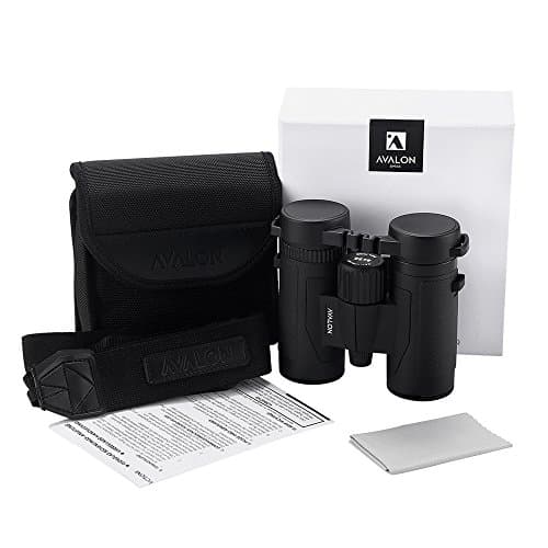 Avalon 8x32 MINI HD Binoculars (BLACK) — view 5