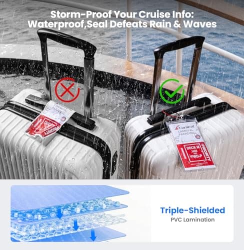 2026 Cruise Essentials Kit,4 Cruise Luggage Tag Holder,2 Detachable Lanyard — view 3