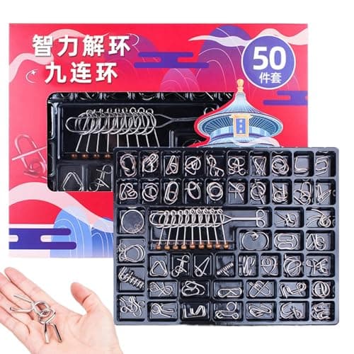 Metal Puzzles Educational Logic Test Toy