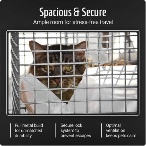 MDC Cat Carrier with Top Opening – Lightweight Mesh Pet Travel Crate for Vet Visits, Cats & Kittens – Breathable, Easy Clean Cat Basket with Handle – Secure & Spacious Cat Crate for Travel, Black — view 3