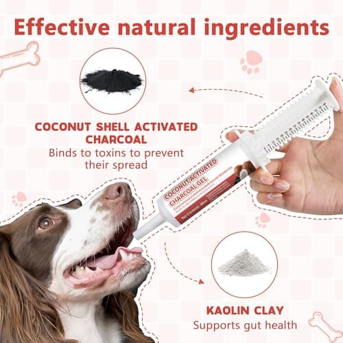 Puciuua Activated Charcoal Paste for Dogs and Cats – 60 ml Pet Poisoning Emergency Kit, Toxin Absorber for Digestive Recovery, First Aid for Dogs & Cats — view 4
