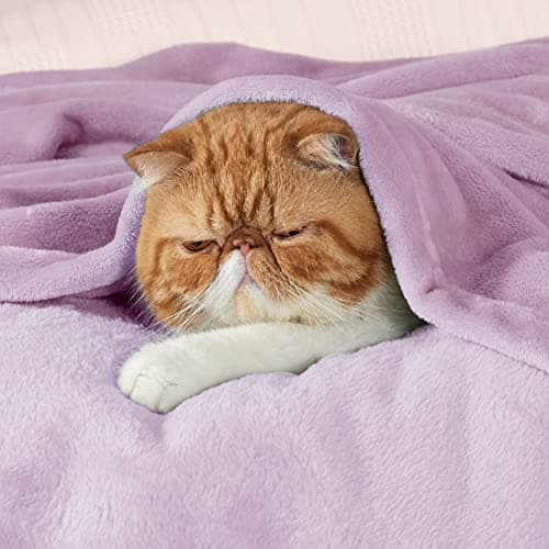 Bedsure Fleece Throw Blanket for Bed - Flannel, Light Purple, 150x200 cm — view 2