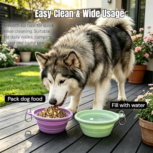 Collapsible Dog Bowl 5 Pack, Silicone Travel Pet Bowl with Carabiner — view 3