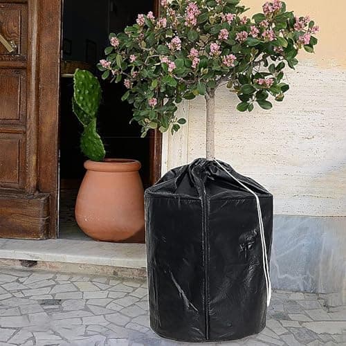 Mlllokfki Gardening Tools, Sustainable Home Practices, Healthy Meal Ideas, Travel Packing List, Budget Friendly Recipes, Quick Fitness Tips, Creative Writing Ideas for Potted Plants Shrubs — view 3