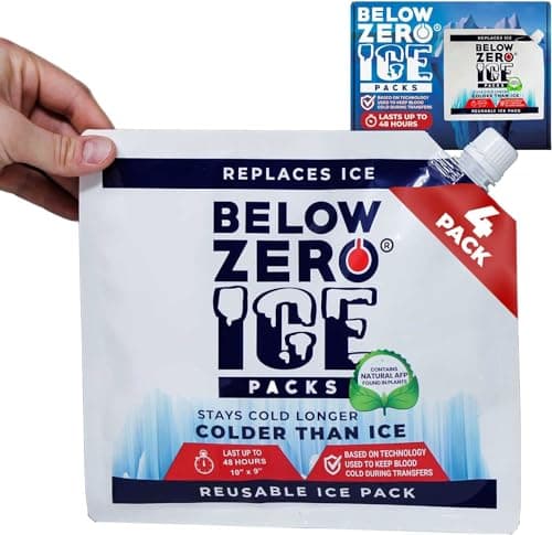 Below Zero Reusable All Day Ice Packs for Coolers, Medium 10"x9", 4 Pack