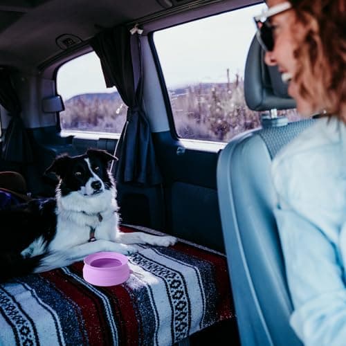SLSON Non Spill Dog Water Bowl for Car Collapsible Dog Travel Bowl Integrated Molding Portable Pet Drinking Bowl for Road Trip (Light Purple) — view 5