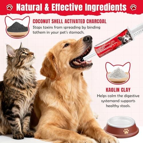 Activated Charcoal Paste for Dogs & Cats 60 cc, Pets First Aid Formula, Pets Charcoal Emergency for Poisoning, Indigestion & Diarrhea, Ready Absorb Toxins, Camping Survival Remedy — view 3