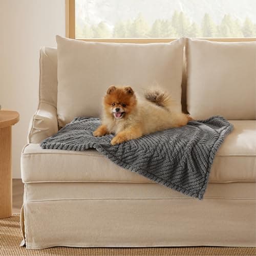 Bedsure Small Dog Blankets Washable - 80x60cm Soft Fluffy Puppy Blanket for Small Dogs, Cosy Calming Cat Blanket for Indoor Cats, Fleece Dog Bed Blankets, Pet throws for Sofa, Dark Grey — view 6