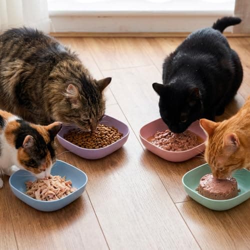 Cat Bowls 10 Pcs with Storage Base, 1 Set Shallow Cat Bowl,Shallow Cat Dishes for Multi-Cat Households, Whisker Friendly Pet Bowls for Kittens and Travel Feeding, Space Saving Cat Feeding Bowls — view 5