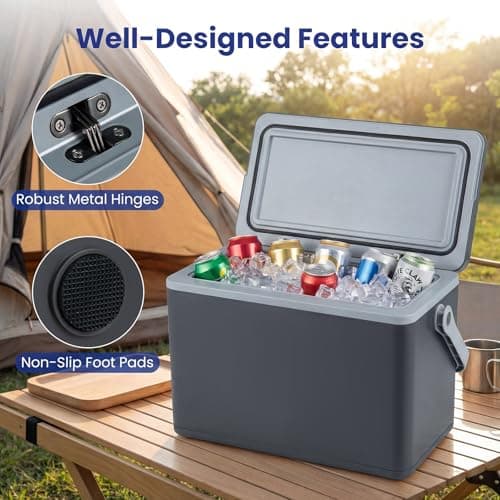 COSTWAY 12L/16L/21L/41L Insulated Cool Box (Dark Gray, 48 x 29 x 31 cm) — view 5