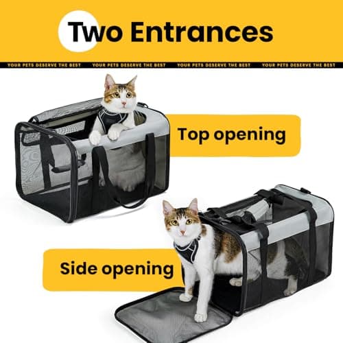 Conlun Cat Carrier Bag,Soft-Sided Pet Carriers for Dogs with 4-Sided Mesh,Airline Approved Cat Transport Carrier for Small&Medium Cats Kitten Puppy Up to 6Kg,Collapsible Cat Travel Carrier-M,Grey — view 3