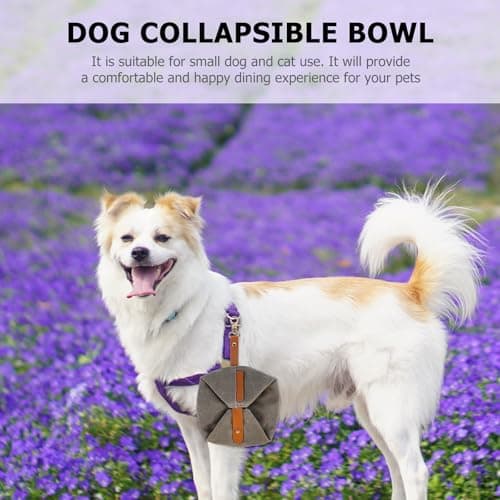 Dog Folding Bowl Canvas for Outdoor Travel Feeding and Drinking — view 4