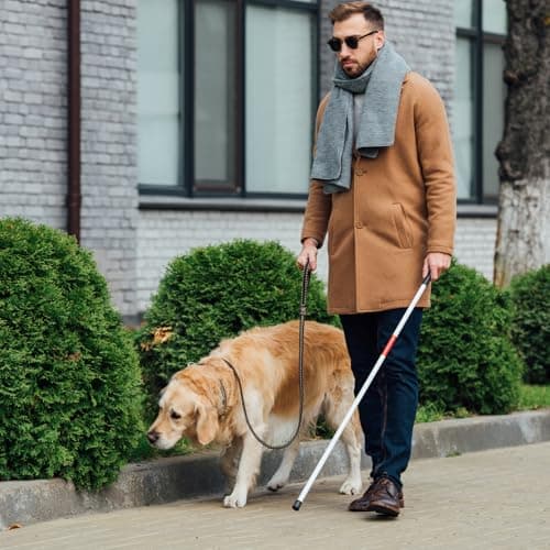Blind Stick, 135cm/53in White Cane, Aluminium Alloy Folding Walking Stick Reflective Walking Cane Red White Collapsible Guide Walking Stick with Strap for The Blind And Vision Impaired — view 6